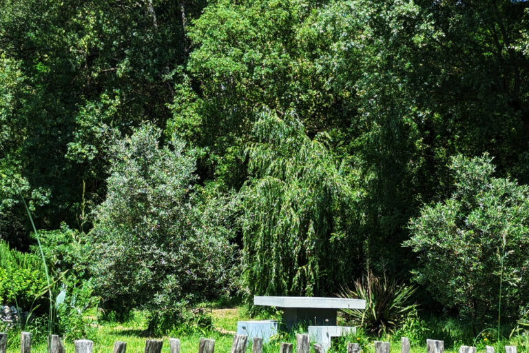 La Belle Rivière - Maison d'hôtes en Provence - Parc