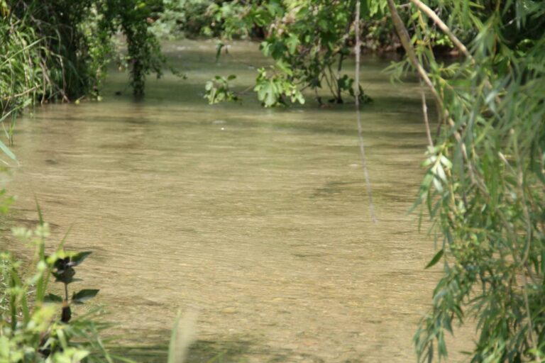 Chambre d'hôte La Belle Rivière à Salernes - Parc - Rivière