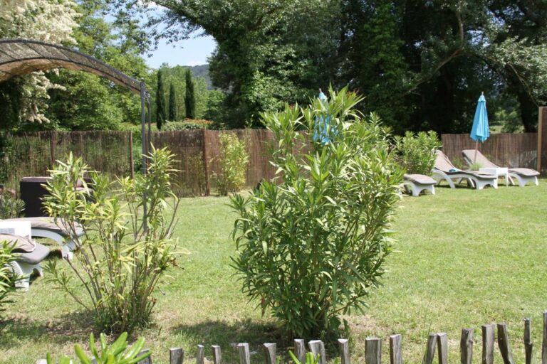 Chambre d'hôte La Belle Rivière à Salernes - Parc et piscine - transats, tonnelle et parasols