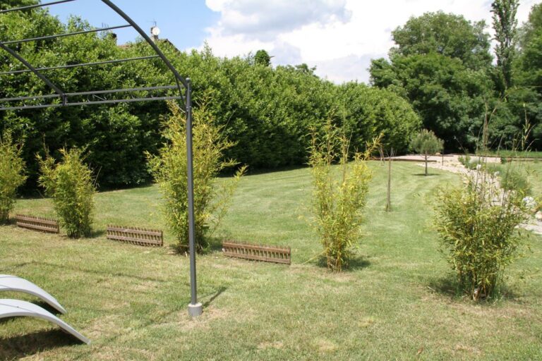 Chambre d'hôte La Belle Rivière à Salernes - Parc et piscine - tonelle