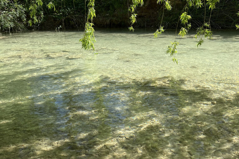 Chambre d'hôte La Belle Rivière à Salernes - Parc et piscine - rivière