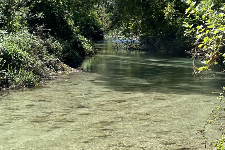Chambre d'hôte La Belle Rivière à Salernes - Parc et piscine - rivière