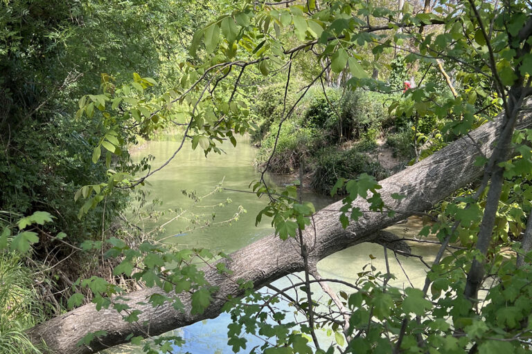 Chambre d'hôte La Belle Rivière à Salernes - Parc et piscine - rivière