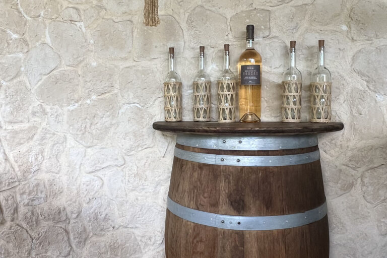 Chambre d'hôte La Belle Rivière à Salernes - pool house et bar